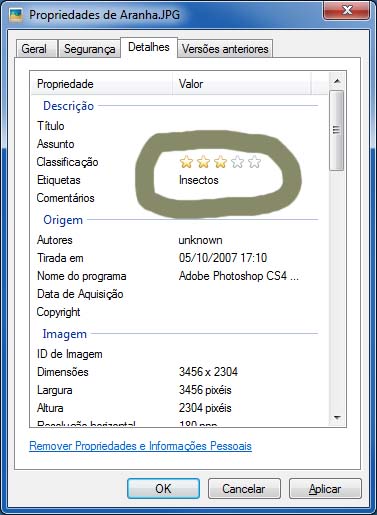 Windows_1.jpg