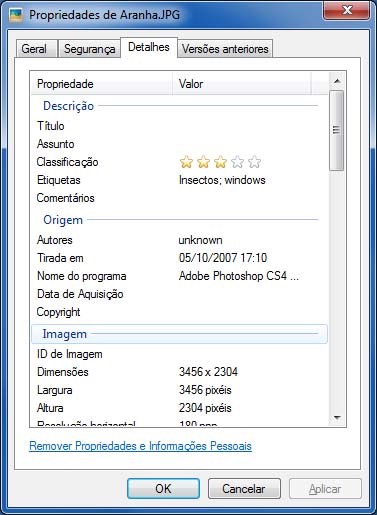 Windows_2.jpg