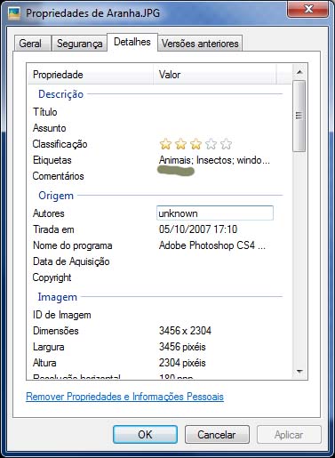Windows_3.jpg